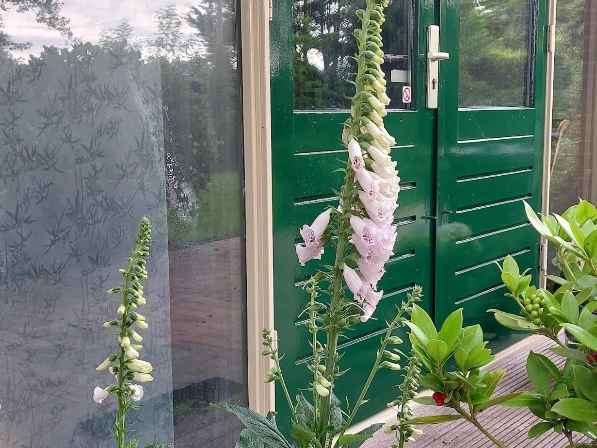 Appartement De Molshoop Landsmeer Zewnętrze zdjęcie